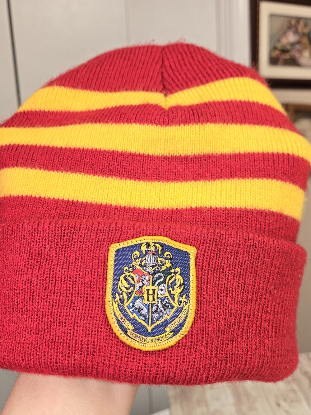 Harry Potter Hogwarts Red Gold Striped Knit Beanie Hat